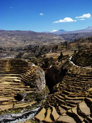 colca2.jpg