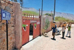 bodegacaraveli