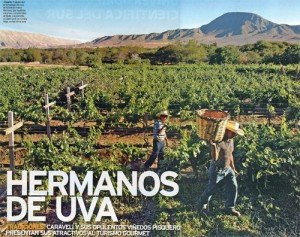 vidcaraveli