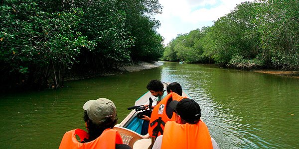 Santuario Nacional Manglares de Tumbes