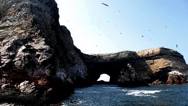 Full day a Paracas con Cruz del Sur