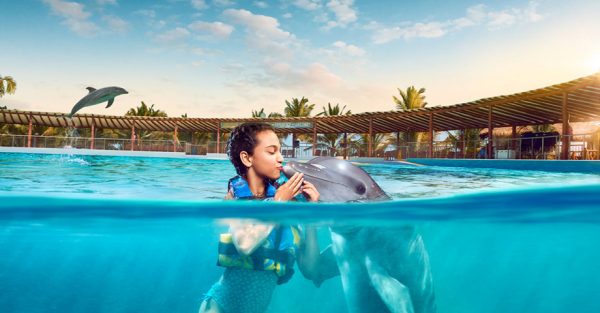 Viaja a México y nada con delfines en Los Cabos