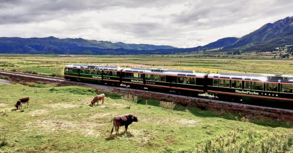 Inca Rail entre los mejores trenes de lujo en Sudamérica