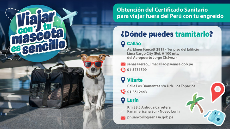 Certificado Sanitario para viajar fuera del Perú con tu mascota.