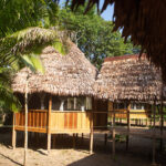 Explora la magia de Eywa Lodge: El hotel ecológico en el río Amazonas que te brinda una experiencia de viaje única
