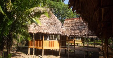 Explora la magia de Eywa Lodge: El hotel ecológico en el río Amazonas que te brinda una experiencia de viaje única