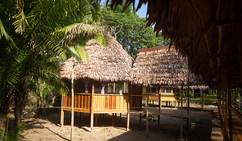 Explora la magia de Eywa Lodge: El hotel ecológico en el río Amazonas que te brinda una experiencia de viaje única