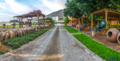 Hotel Viñas Queirolo, la joya del enoturismo, donde disfrutar de experiencias y hospitalidad de lujo en la región Ica en Perú